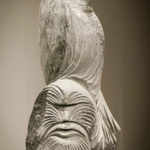 Oishawk